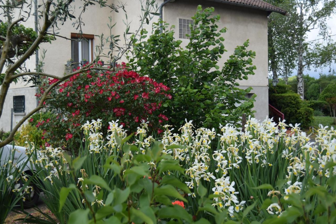 Bed and Breakfast Le Nid De L'Ecureuil Brens  Экстерьер фото